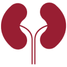 Nephrology