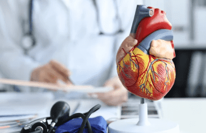 heart-specialist